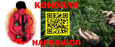 крисы Мариинск