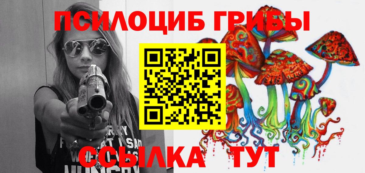 Псилоцибиновые грибы Psilocybe  Галлюциногенные грибы MAGIC MUSHROOMS  Элиста  Вход с VPN 