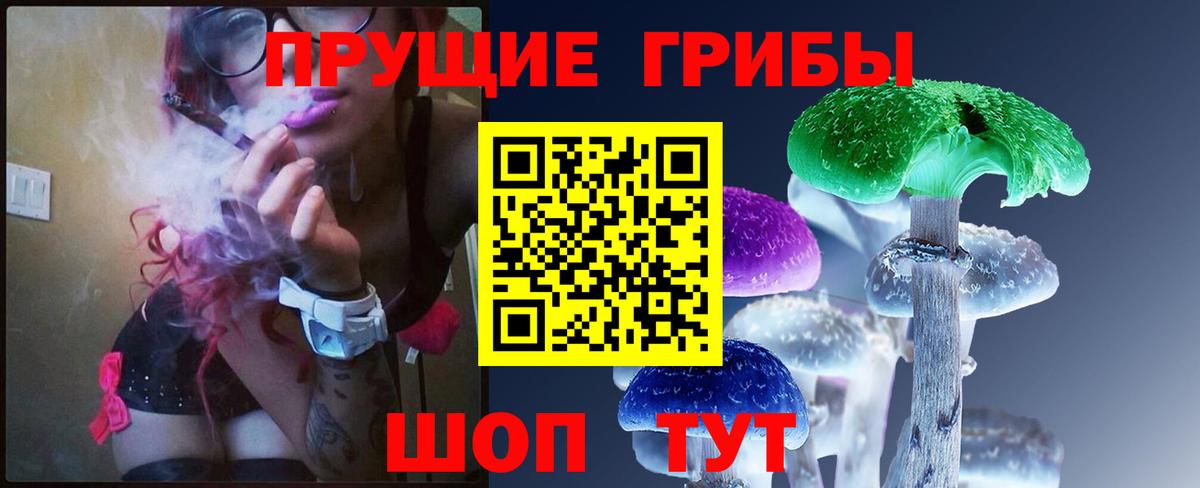 Псилоцибиновые грибы Magic Shrooms Элиста