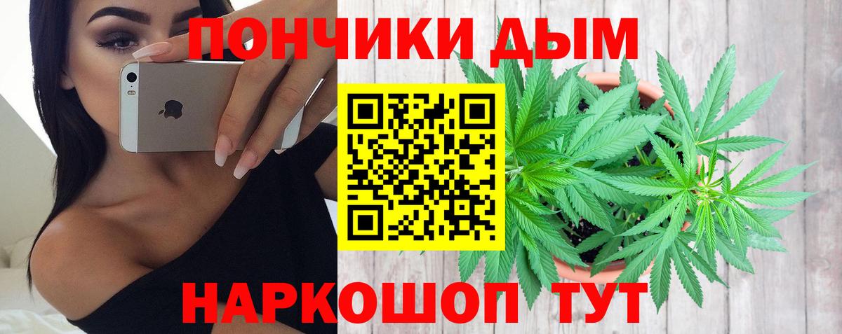 Каннабис LSD WEED  МАРИХУАНА SATIVA & INDICA  Элиста  Вход с VPN  Марихуана VHQ  Шишки марихуана SATIVA & INDICA 
